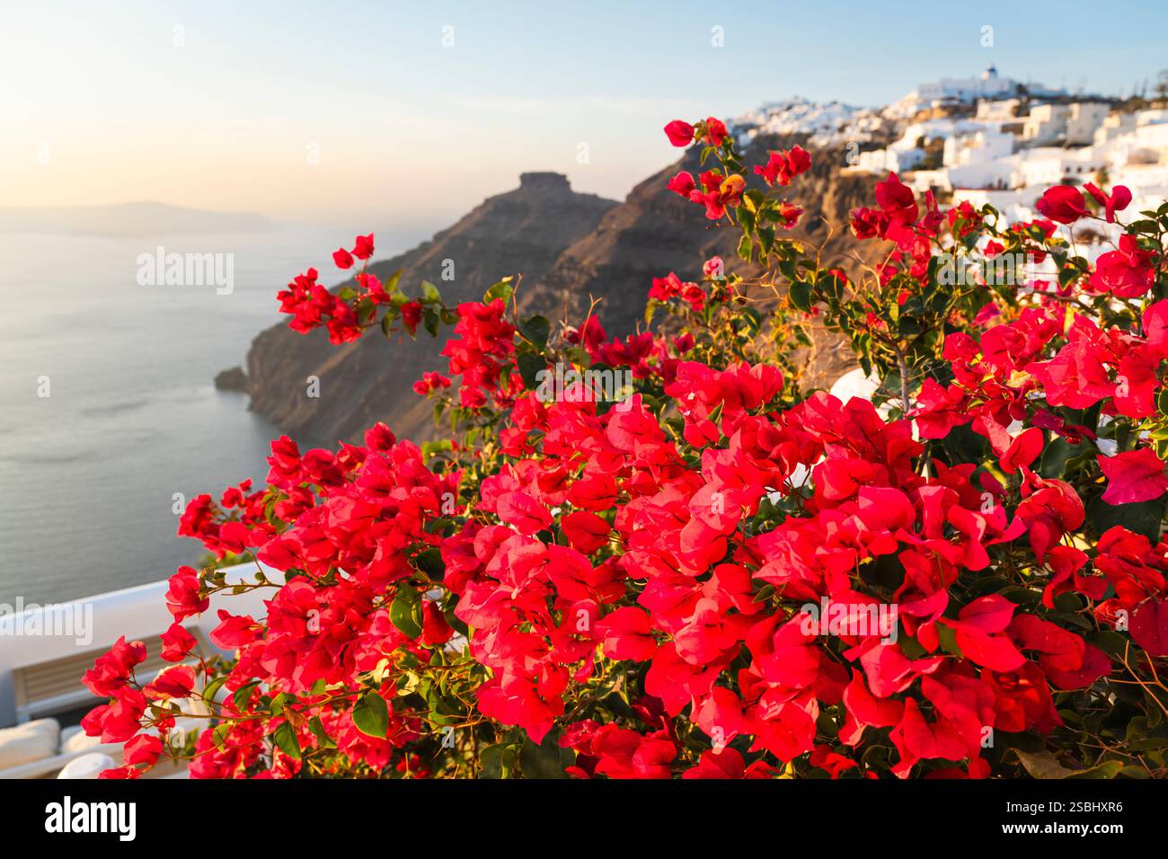 Des bougainvilliers rouges fleurissent devant les maisons blanches d'Imerovigli sur les falaises de la caldeira de Santorin dans le coucher de soleil incandescent, Cyclades, Grèce Banque D'Images