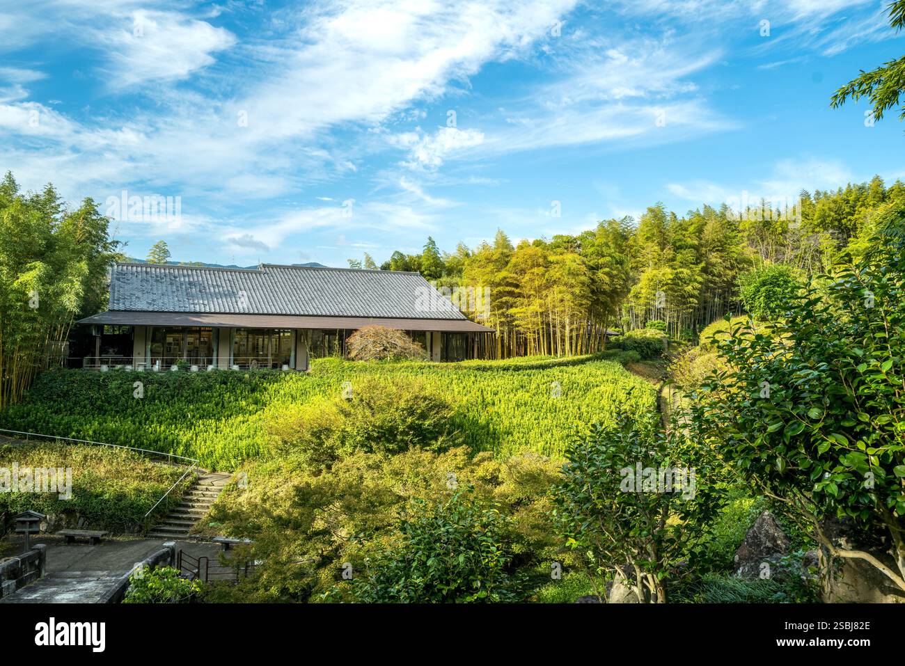 Le musée et le jardin du bambou à Rakusai, Kyoto City Japon Banque D'Images