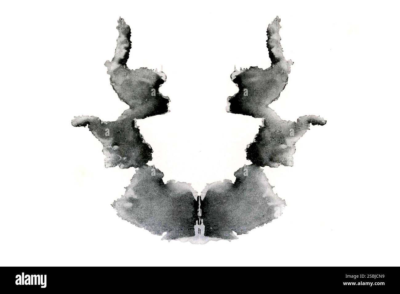 Septième carte présentée dans le test de Rorschach, un test psychologique développé dans les années 1920 dans lequel les perceptions et les réponses d'un patient à une série de taches d'encre abstraites sont enregistrées et analysées par un psychologue. Banque D'Images
