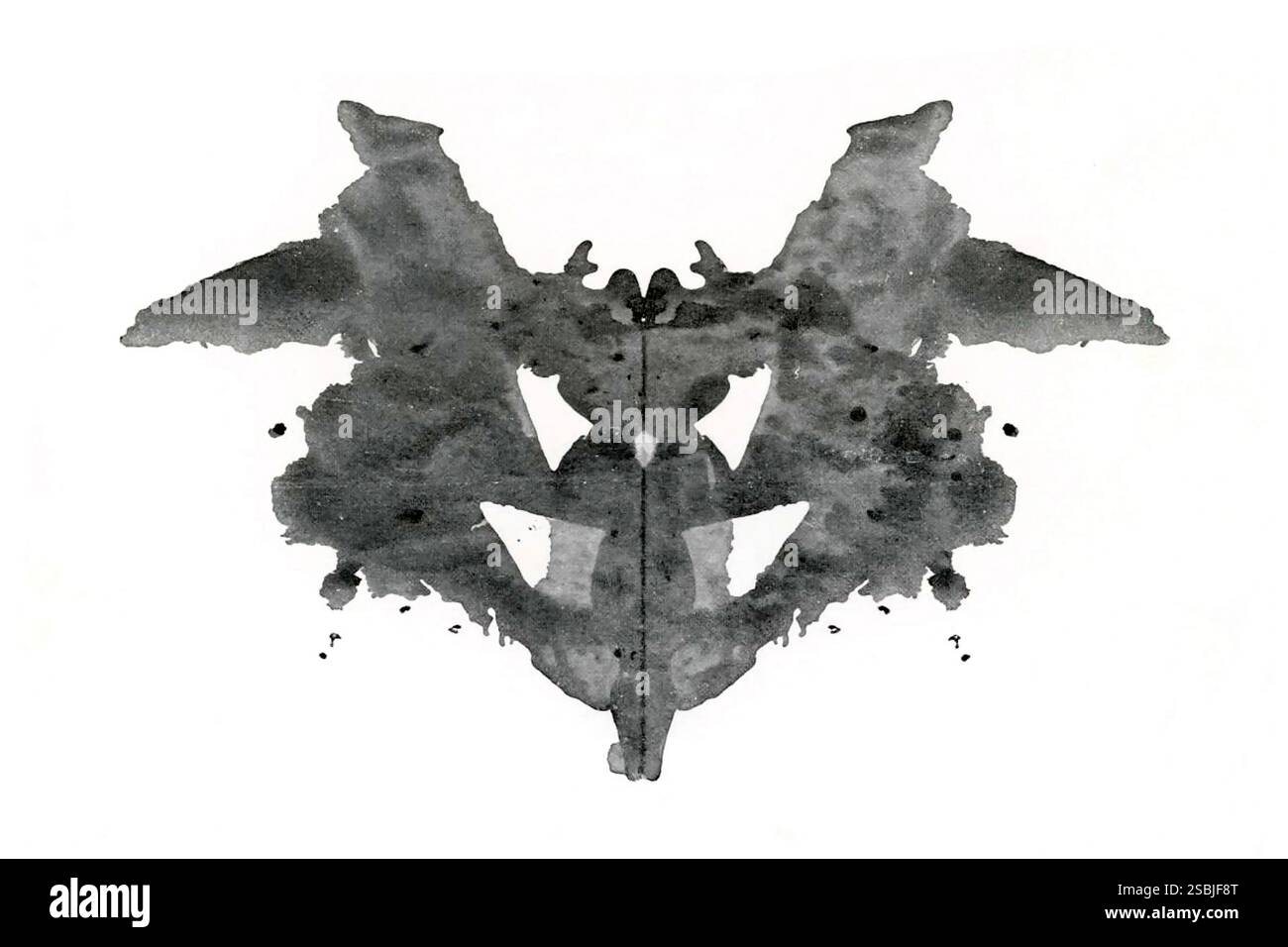 Première carte présentée dans le test de Rorschach, un test psychologique développé dans les années 1920 dans lequel les perceptions et les réponses d'un patient à une série de taches d'encre abstraites sont enregistrées et analysées par un psychologue. Banque D'Images