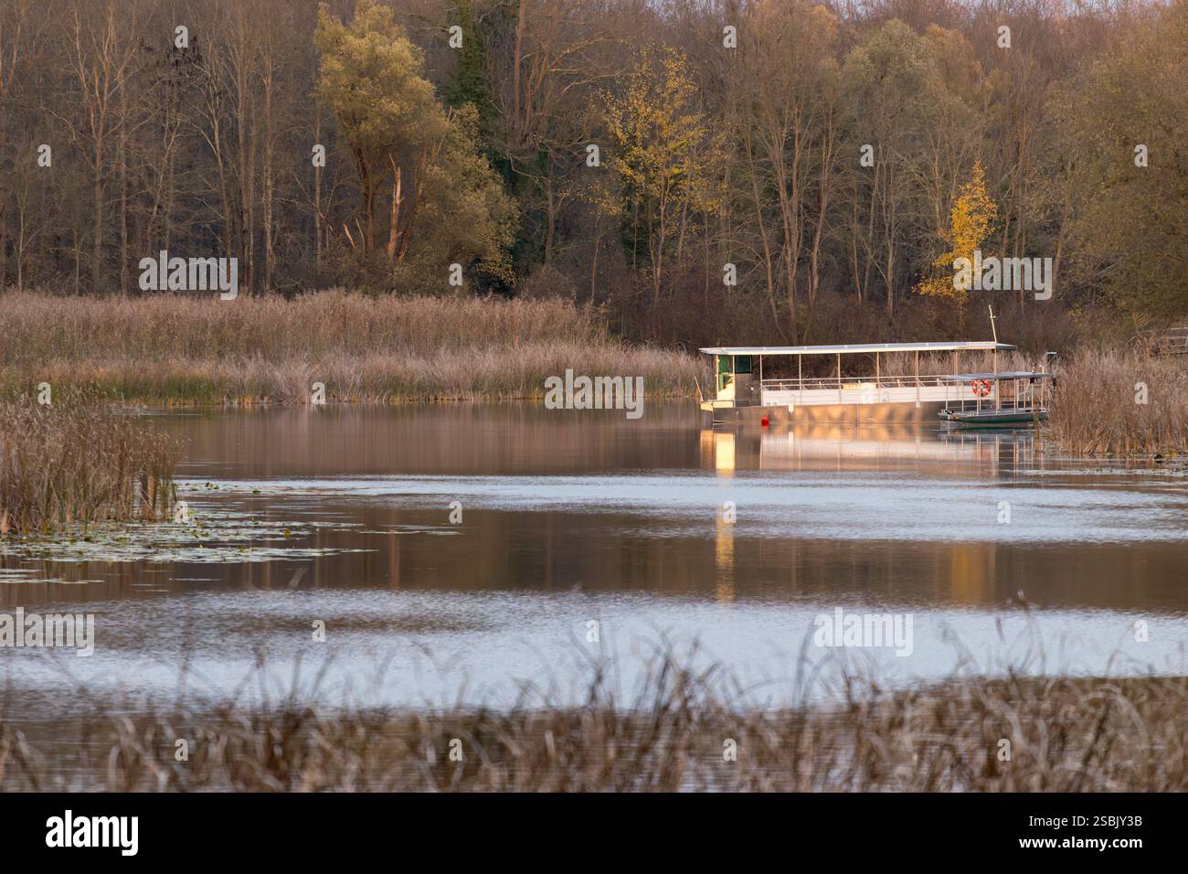 Scène d'automne tranquille montrant un lac paisible aux eaux calmes, entouré de roseaux et d'arbres, et un bateau stationnaire près de la rive, capturant le nat Banque D'Images