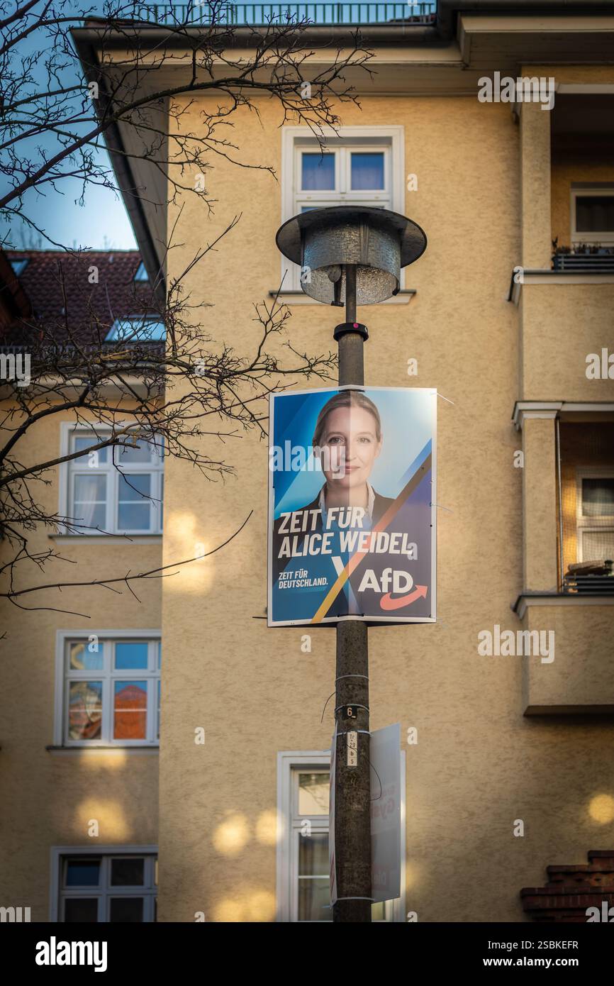 Berlin, Allemagne. 3 février 2025. Vingt jours avant les prochaines élections fédérales allemandes, une affiche électorale du parti d'extrême droite Alternative für Deutschland (AFD) est apposée sur un lampadaire. L'affiche montre Alice Weidel, la dirigeante de l'AFD, dans une dernière poussée pour gagner des électeurs pendant la campagne électorale Banque D'Images
