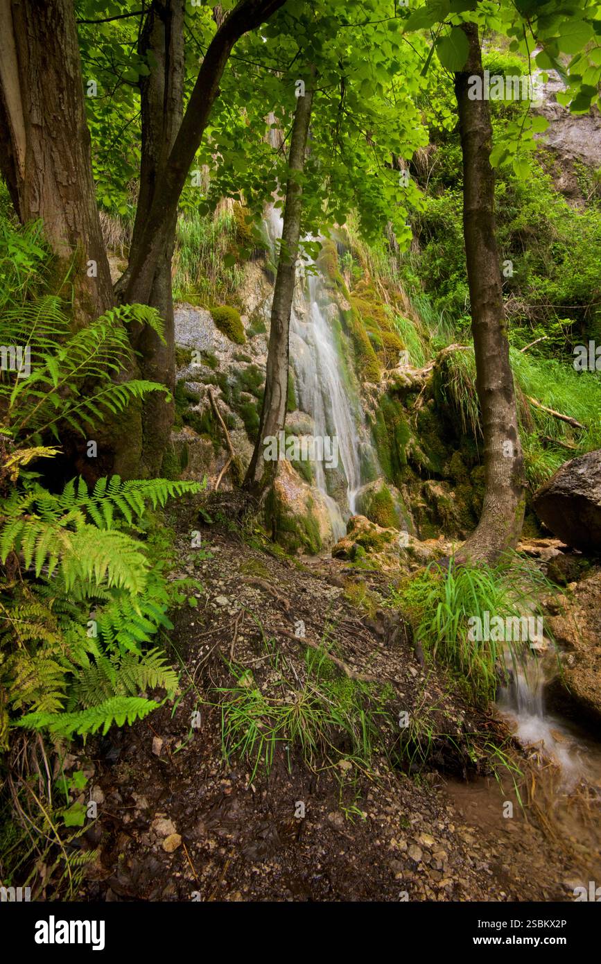 Valle delle Ferriere, Province de Salerne, Italie. La réserve de Valle delle Ferriere est une zone naturelle protégée située dans la commune de Scala , dans la province de Salerne . Son nom dérive de la présence des anciennes ferronneries de la République d'Amalfi , qui étaient principalement actives dans la production de clous pour bateaux. Cascade dans la réserve. Banque D'Images
