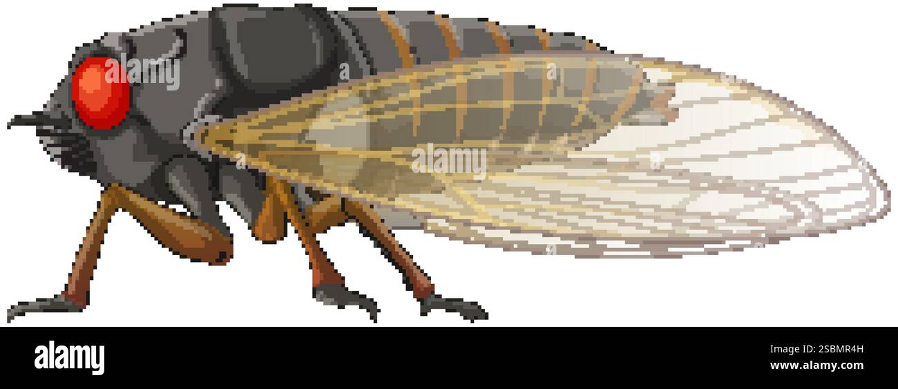 Une représentation réaliste d'une cigale avec des ailes Illustration de Vecteur