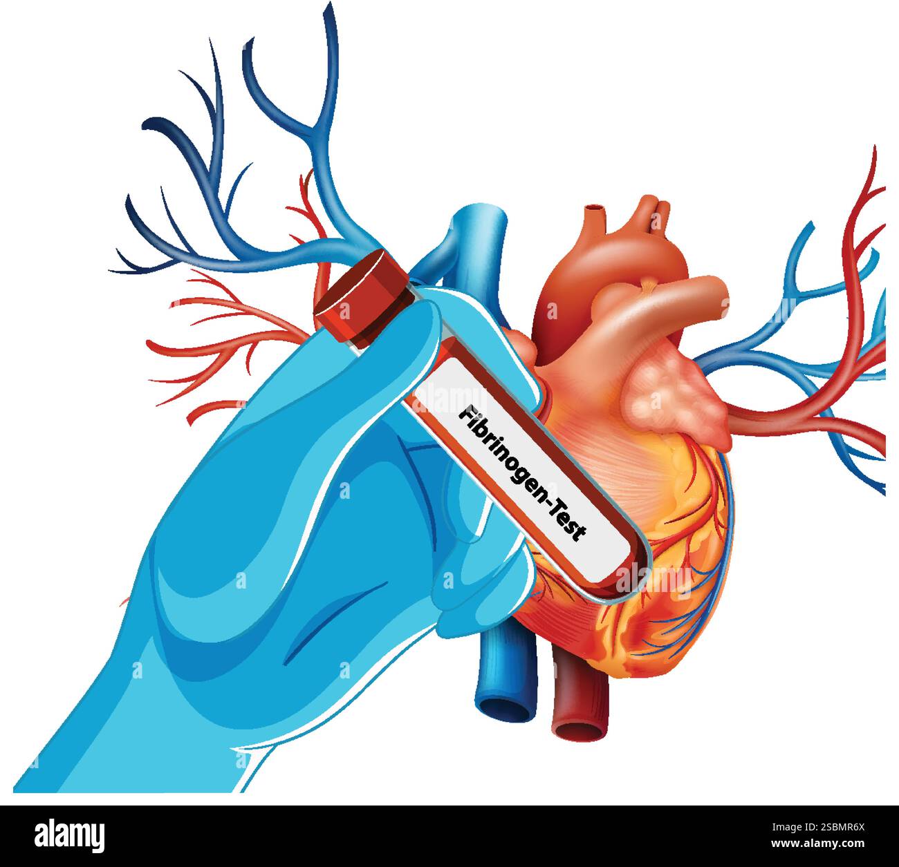 Main gantée tenant le test fibrinogène près du coeur Illustration de Vecteur