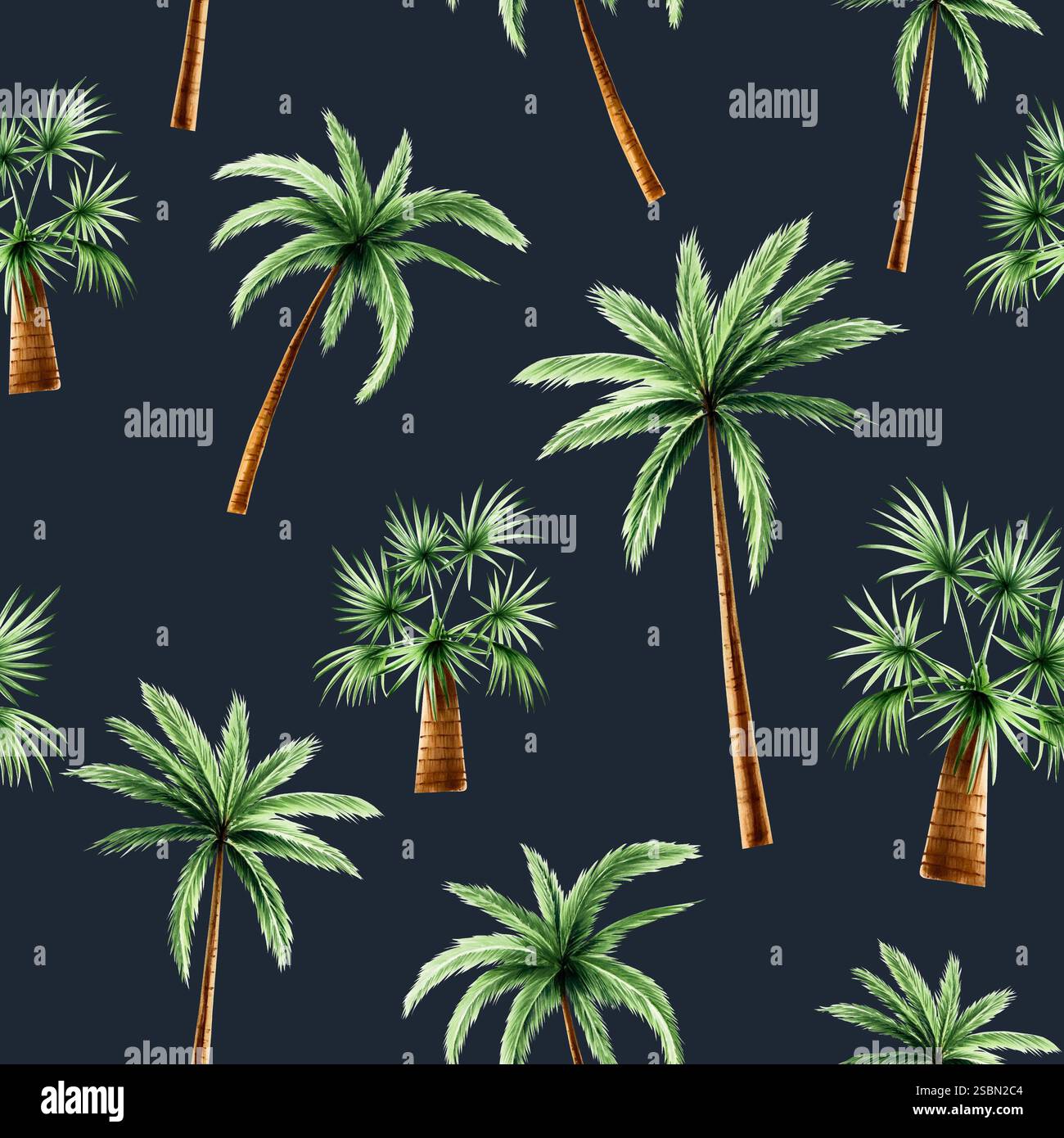 Modèle sans couture avec des palmiers verts. Clipart de cocotiers. Illustration de jungle florale dessinée à l'aquarelle à la main isolée sur fond. Pour les concepteurs, Banque D'Images