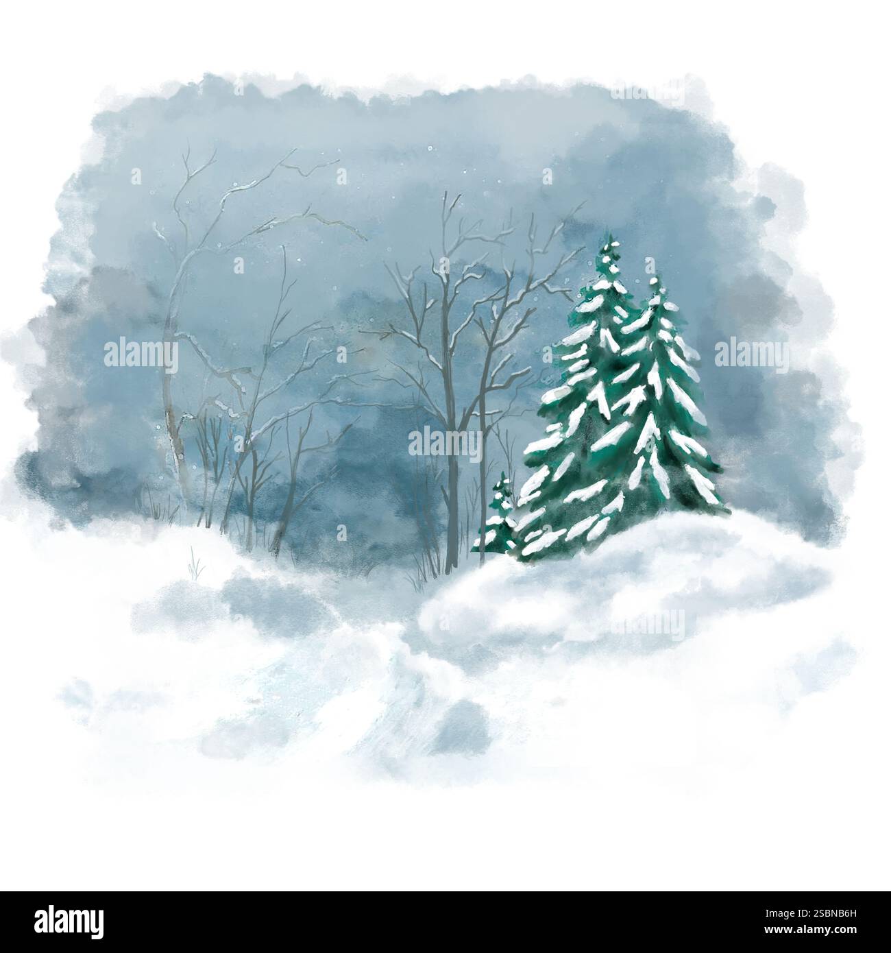 Route enneigée dans la forêt d'hiver et sapins verts. Illustration numérique aquarelle. Paysage de forêt d'hiver et d'arbres dans les déneigements, isolé Banque D'Images