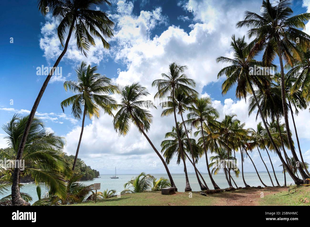 France, Guyana, Îles du Salut, Île Royale Banque D'Images