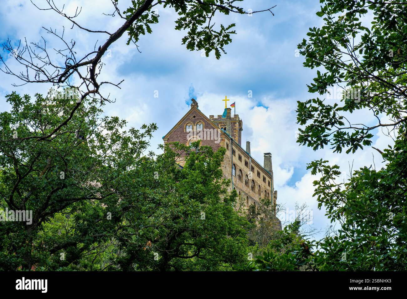 Vue pittoresque sur le château de Wartburg, inscrit sur la liste du patrimoine mondial de l'UNESCO depuis 1999, à Eisenach, Thuringe, Forêt de Thuringe, Allemagne. Banque D'Images