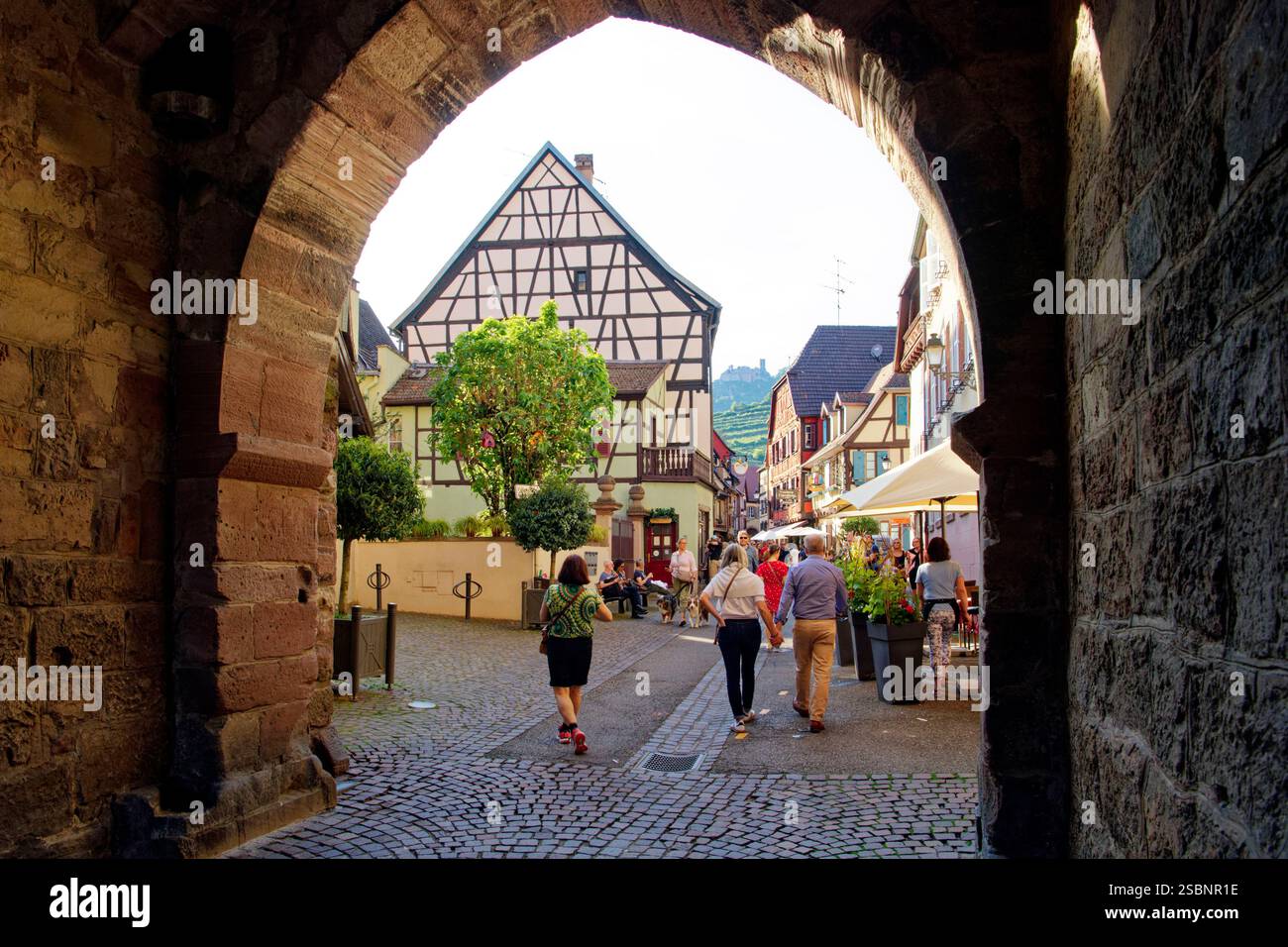 France, Haut Rhin, route des vins d'Alsace, Ribeauville, Grand Rue et château St Ulrich en arrière-plan Banque D'Images