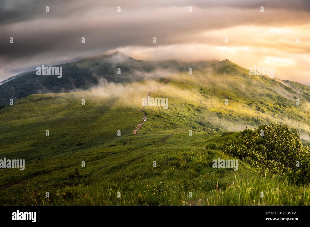 Pologne, Précarpates, Ustrzyki Górne, Parc National de Bieszczady, lever de soleil au refuge de Połoniny Wetlińska, sentier Berehy Górne (Brzegi Górne) Banque D'Images Pologne, Précarpates, Ustrzyki Górne, Parc National de Bieszczady, lever de soleil au refuge de Połoniny Wetlińska, sentier Berehy Górne (Brzegi Górne) Banque D'Images