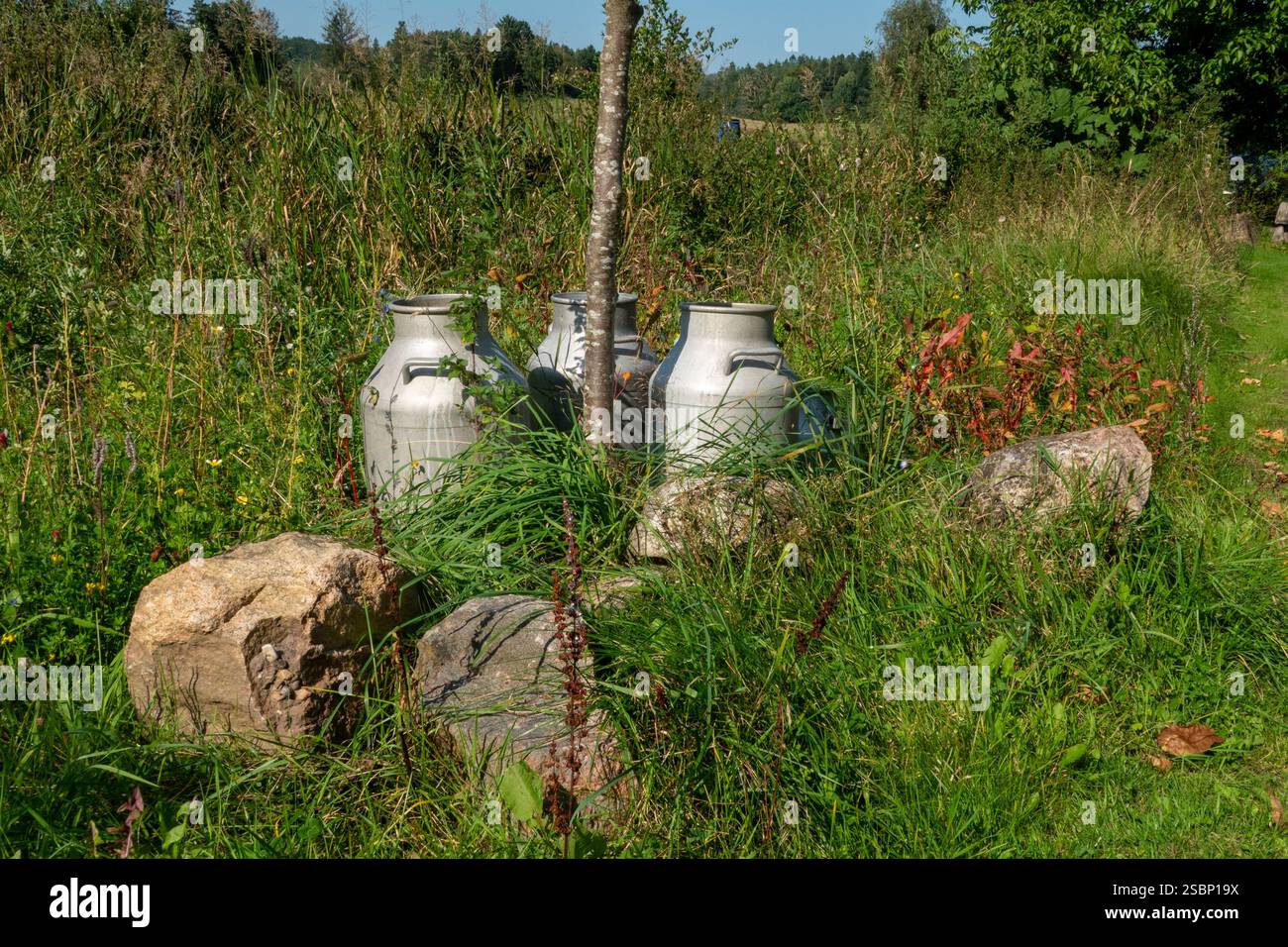 Pichets à lait vintage dans un paysage de campagne pittoresque Banque D'Images