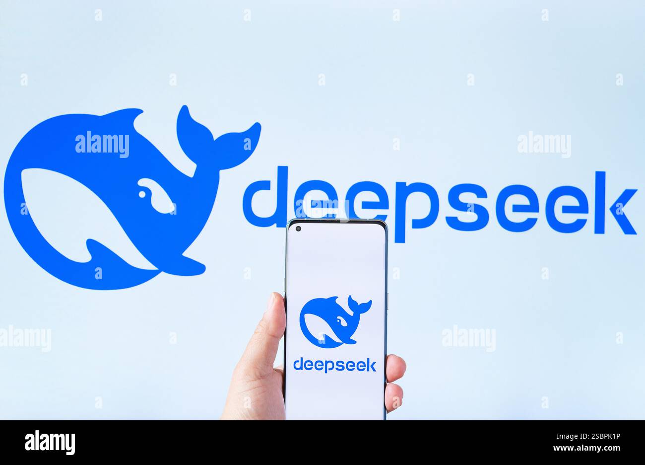 ZHONGSHAN Chine-janvier 29,2025:homme tenant un mobile avec logo Rednote devant un grand logo Rednote à la composition horizontale. Banque D'Images