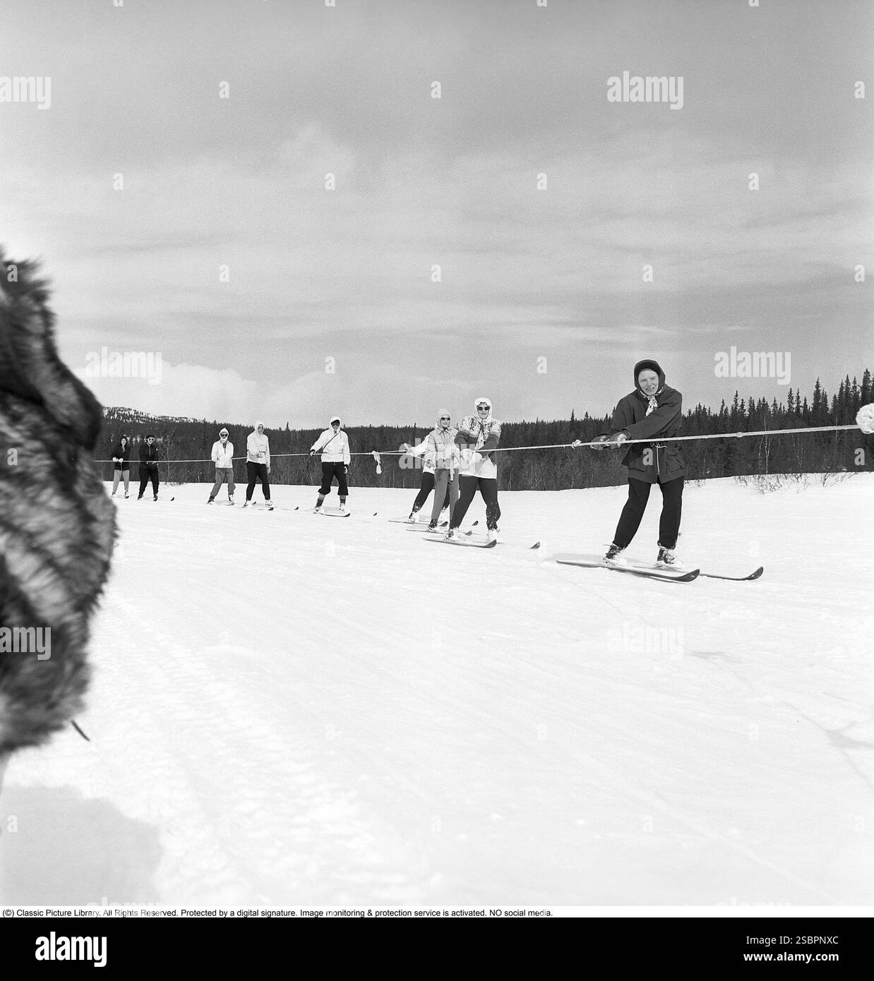 Åre 1952. La station de sports d'hiver populaire à Jämtland Suède où les gens vont skier et socialiser. Åre est connue pour sa longue histoire du ski et les années 1950 étaient une époque où le ski était une attraction sportive et touristique croissante. La photo montre des gens qui participent à des activités hivernales comme le ski derrière une motoneige, être remorqués à basse vitesse à travers la nature sauvage. Photographe : Svahn Banque D'Images