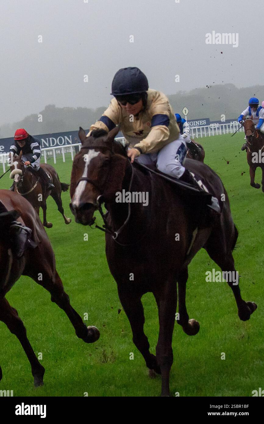 Ascot, Berkshire, Royaume-Uni. 6 septembre 2024. SHALADAR monté par Miss Becky Smith, joueuse amateur, dans les LK Bennett Lady amateur Jockeys handicap Stakes, Class 4, pour femme amateur Jockeys, au Big Food and Festival Weekend soutenu par Chapel Down à Ascot Racecourse dans le Berkshire. Crédit : Maureen McLean/Alamy Banque D'Images