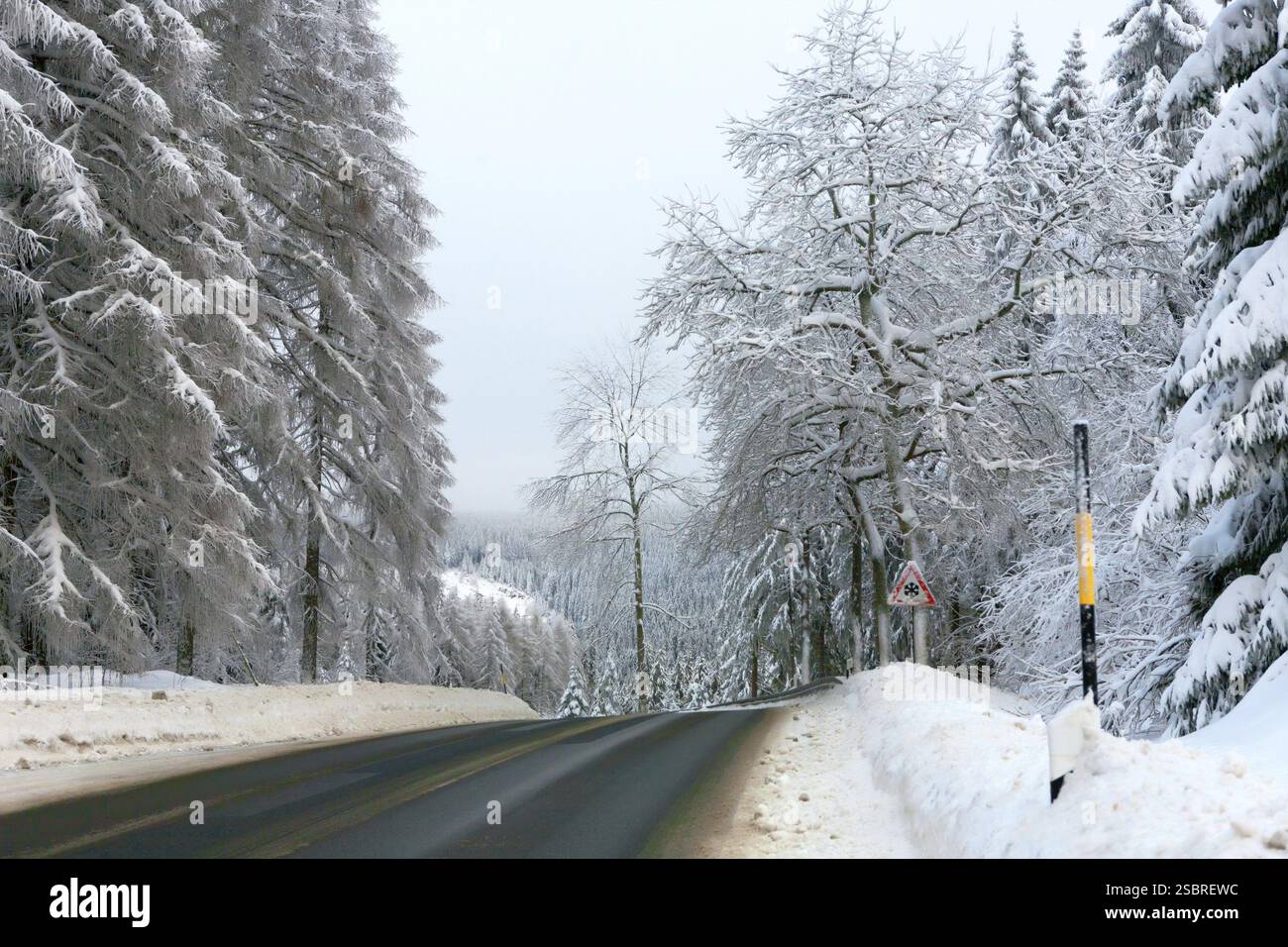 Forêt blanche d'hiver dans le Harz allemand Banque D'Images