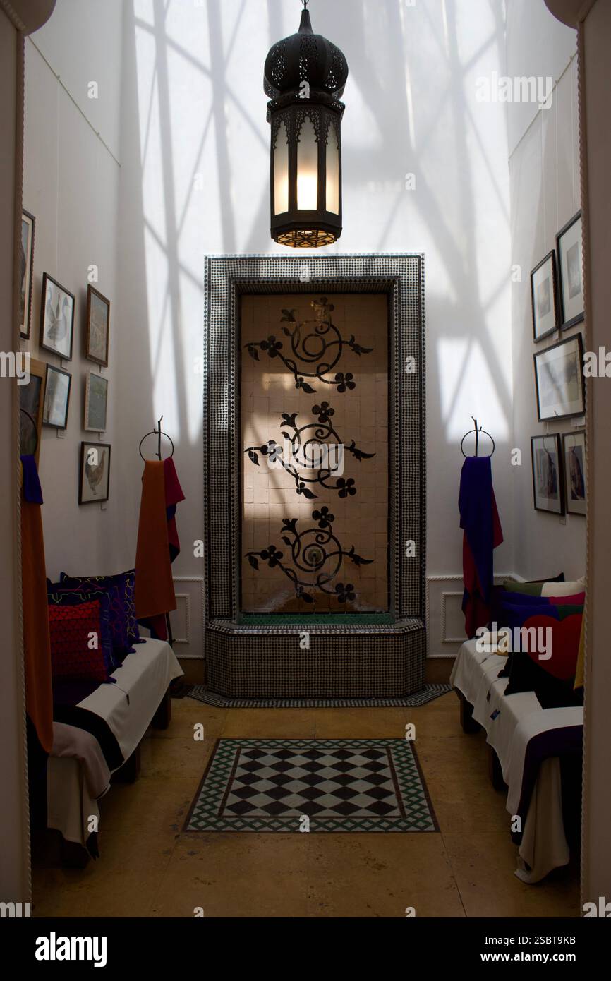 Jardin Yves Saint Laurent, Marrakech, Maroc Banque D'Images