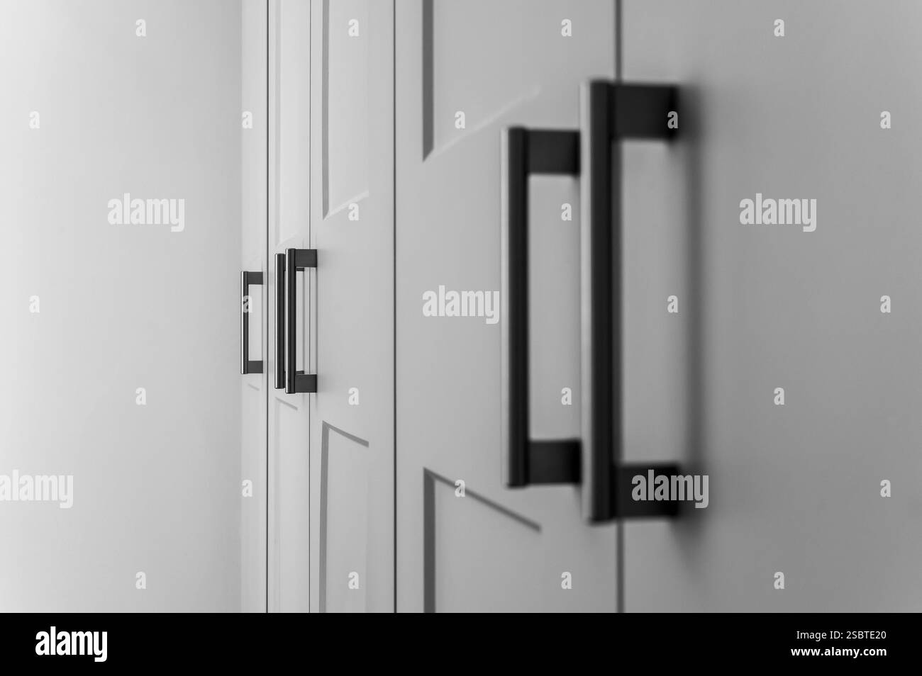 Vue latérale détaillée des portes de garde-robe de chambre avec poignées en métal dans un style moderne, noir et blanc. Banque D'Images