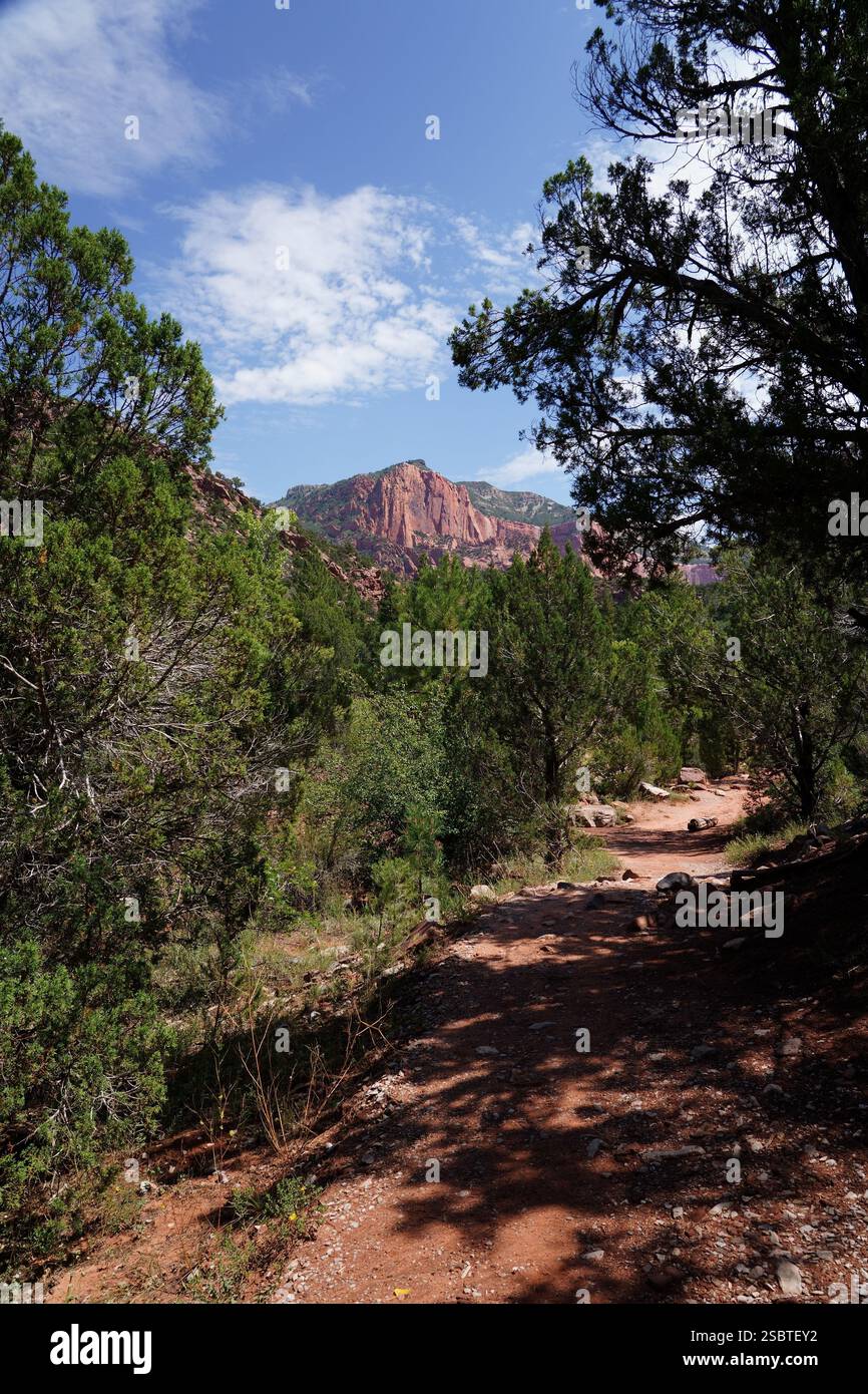 Taylor Creek Trail - Parc national de Zion Banque D'Images