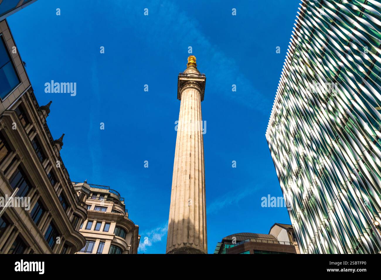 Vue rapprochée du sommet du célèbre Monument au Grand incendie de Londres, une colonne dorique cannelée à Londres, en Angleterre, vue depuis Monument Square. Il... Banque D'Images