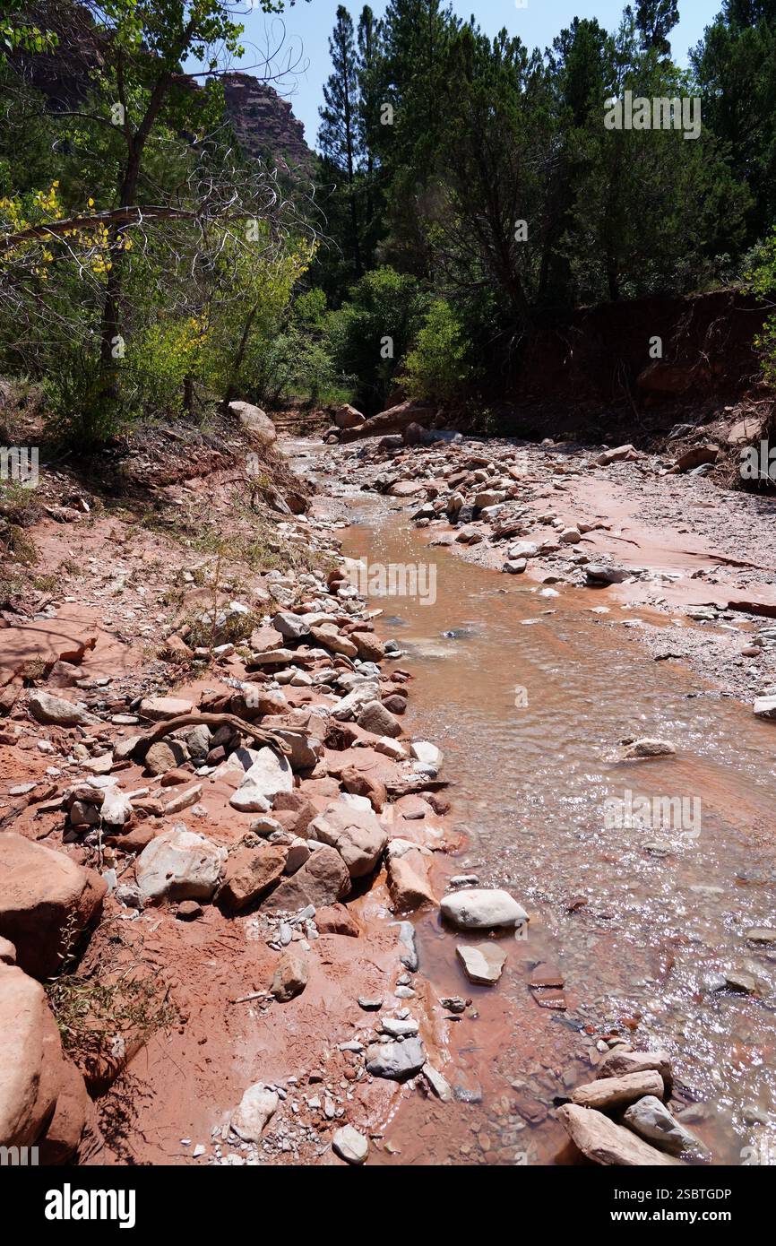 Taylor Creek Trail - Parc national de Zion Banque D'Images