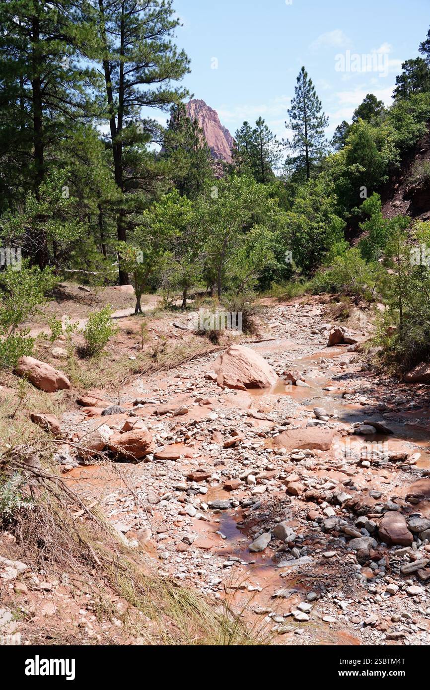 Taylor Creek Trail - Parc national de Zion Banque D'Images