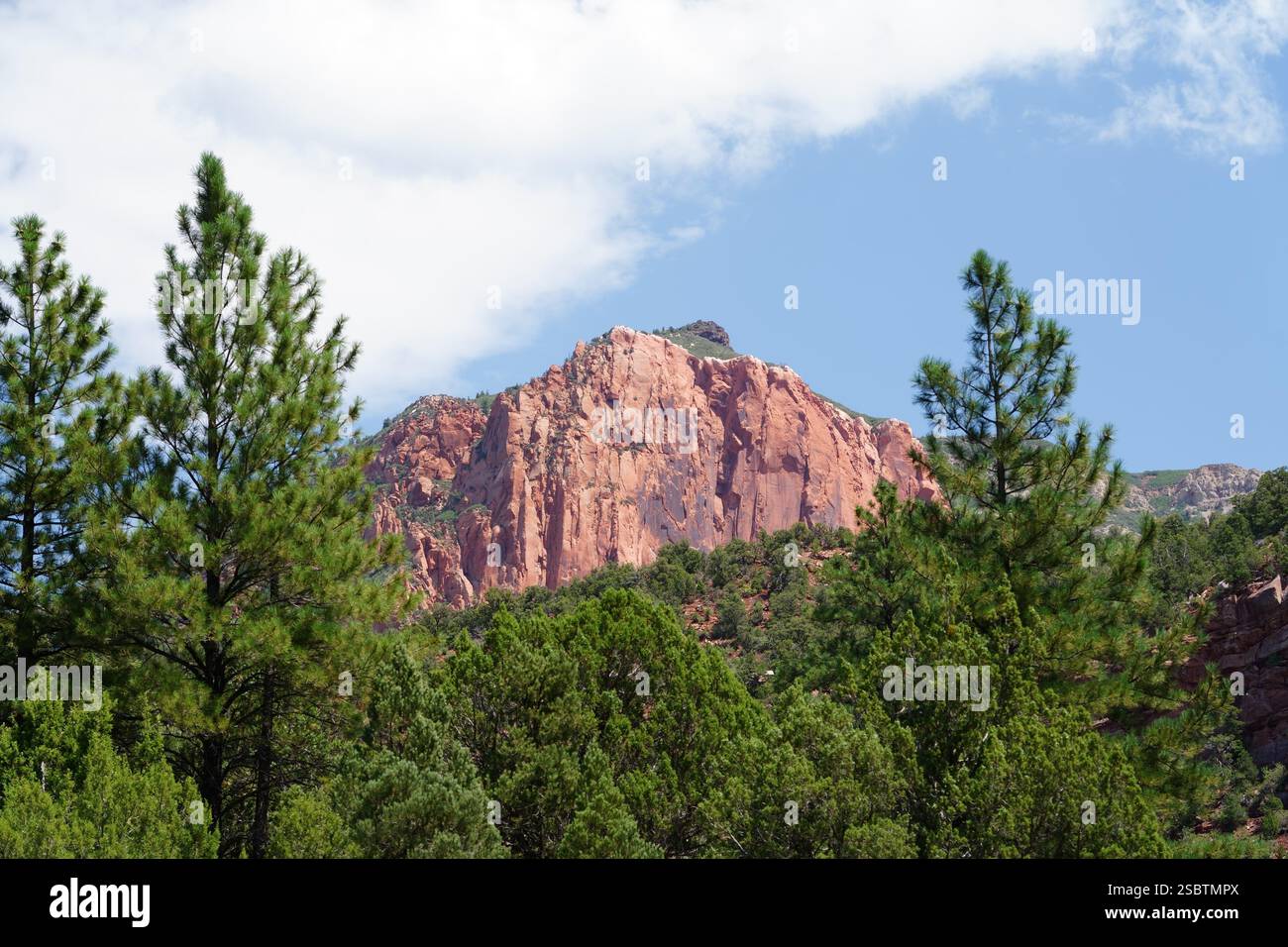 Taylor Creek Trail - Parc national de Zion Banque D'Images