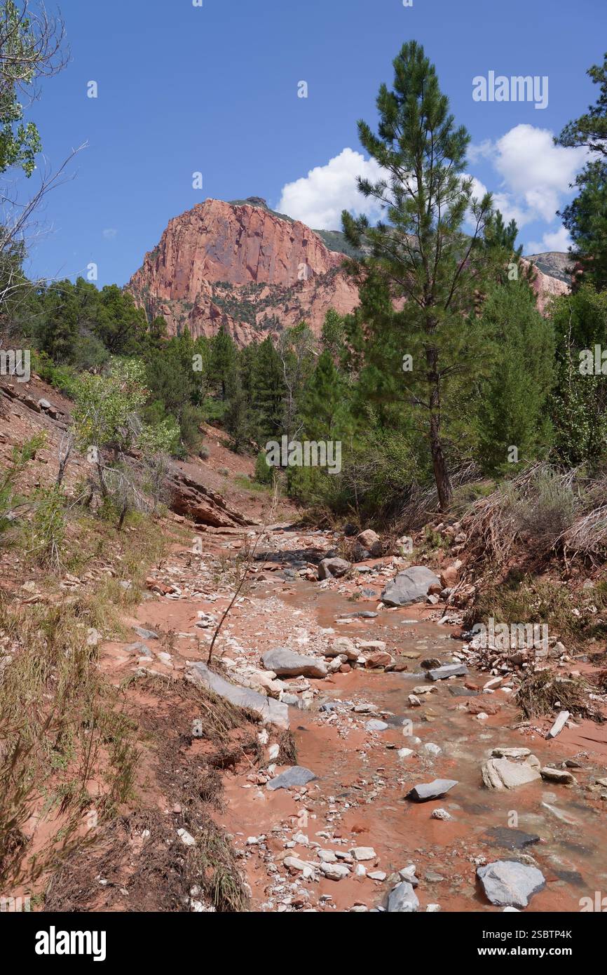 Taylor Creek Trail - Parc national de Zion Banque D'Images
