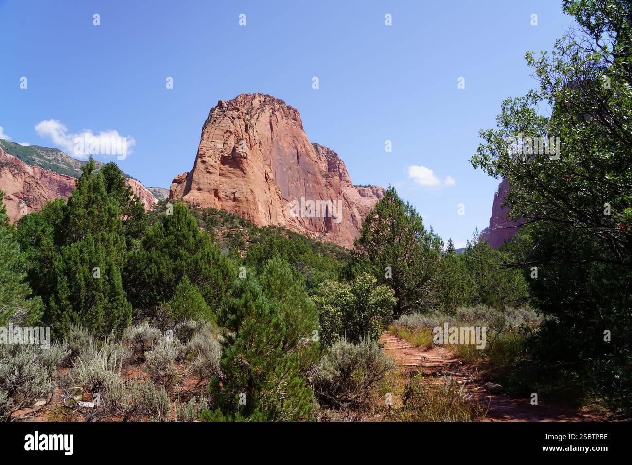 Taylor Creek Trail - Parc national de Zion Banque D'Images