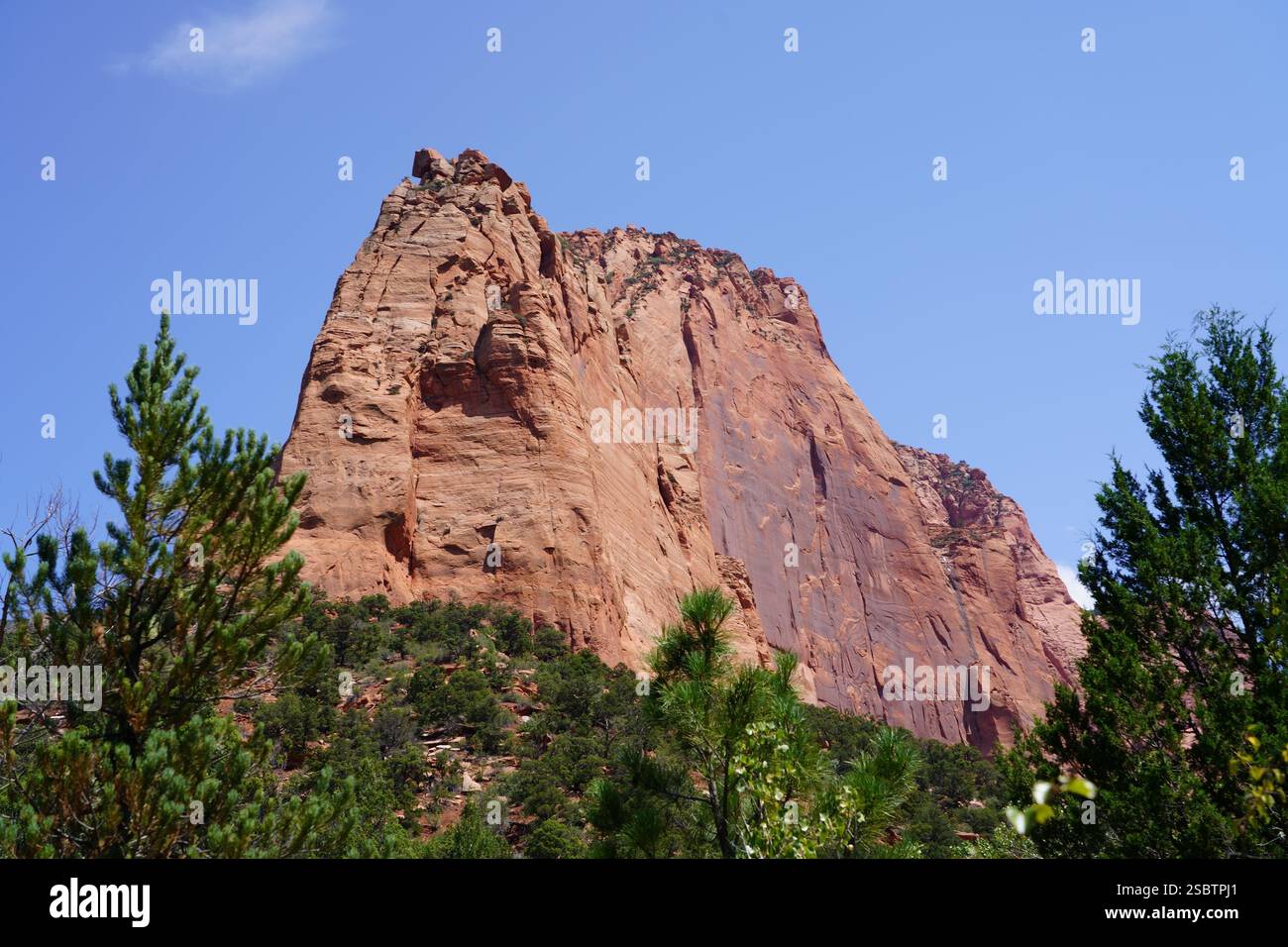 Taylor Creek Trail - Parc national de Zion Banque D'Images