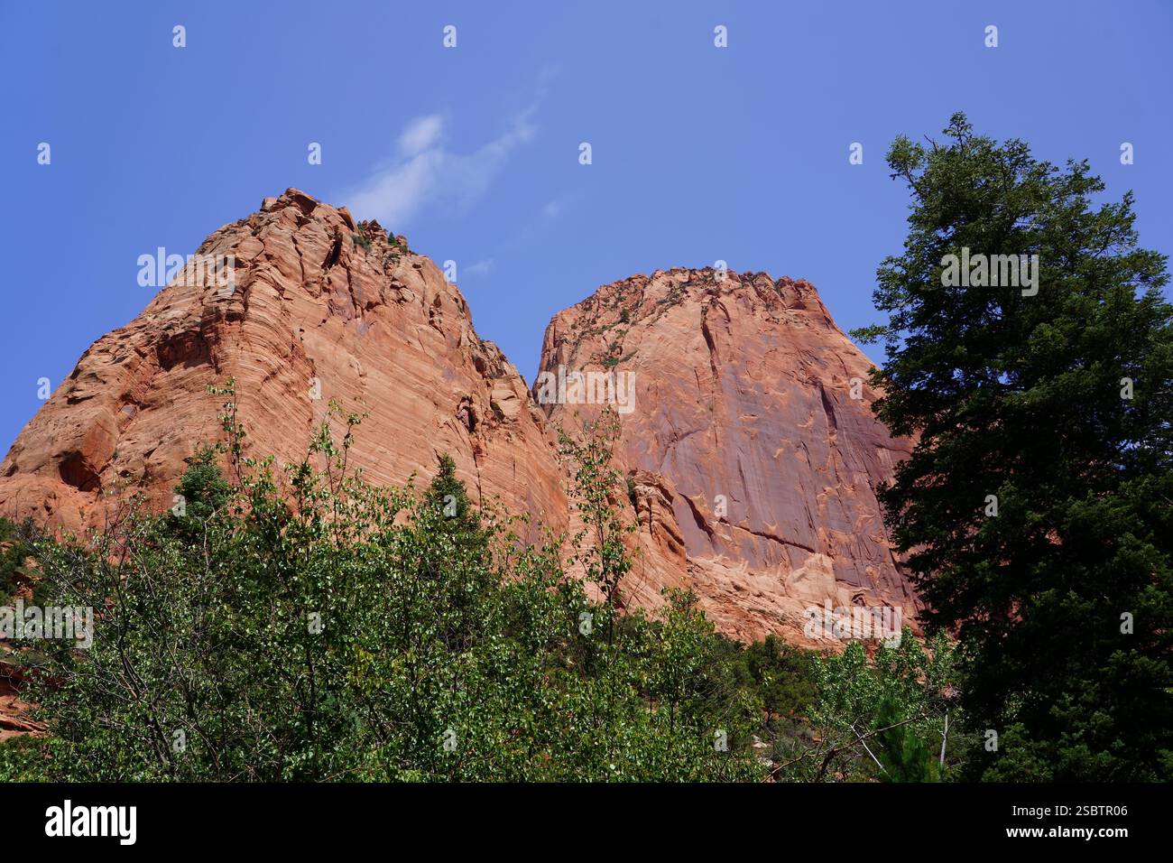 Taylor Creek Trail - Parc national de Zion Banque D'Images