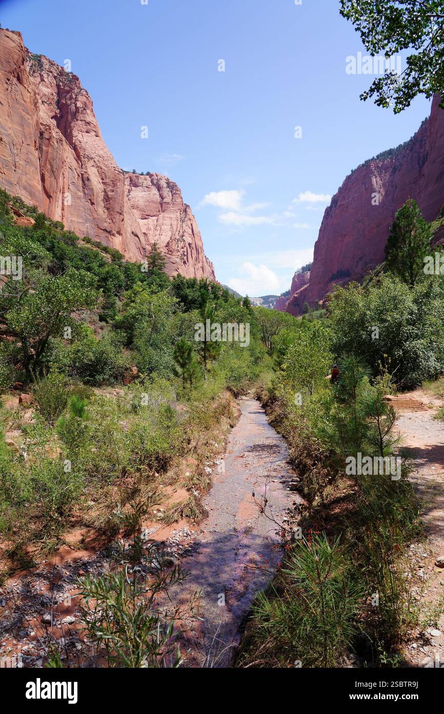 Taylor Creek Trail - Parc national de Zion Banque D'Images