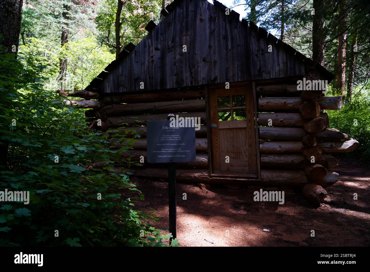 Taylor Creek Trail - Parc national de Zion Banque D'Images