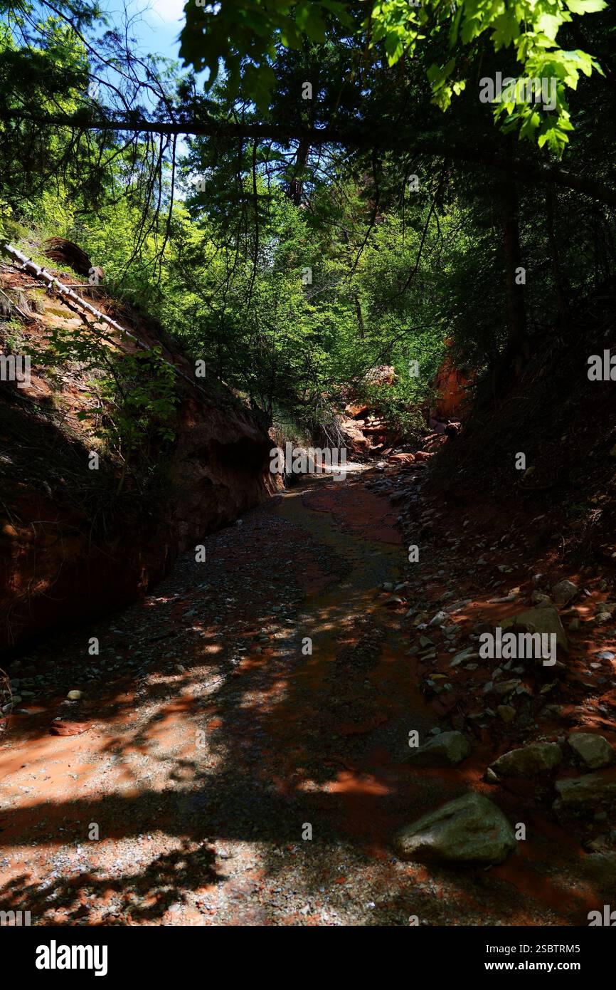 Taylor Creek Trail - Parc national de Zion Banque D'Images