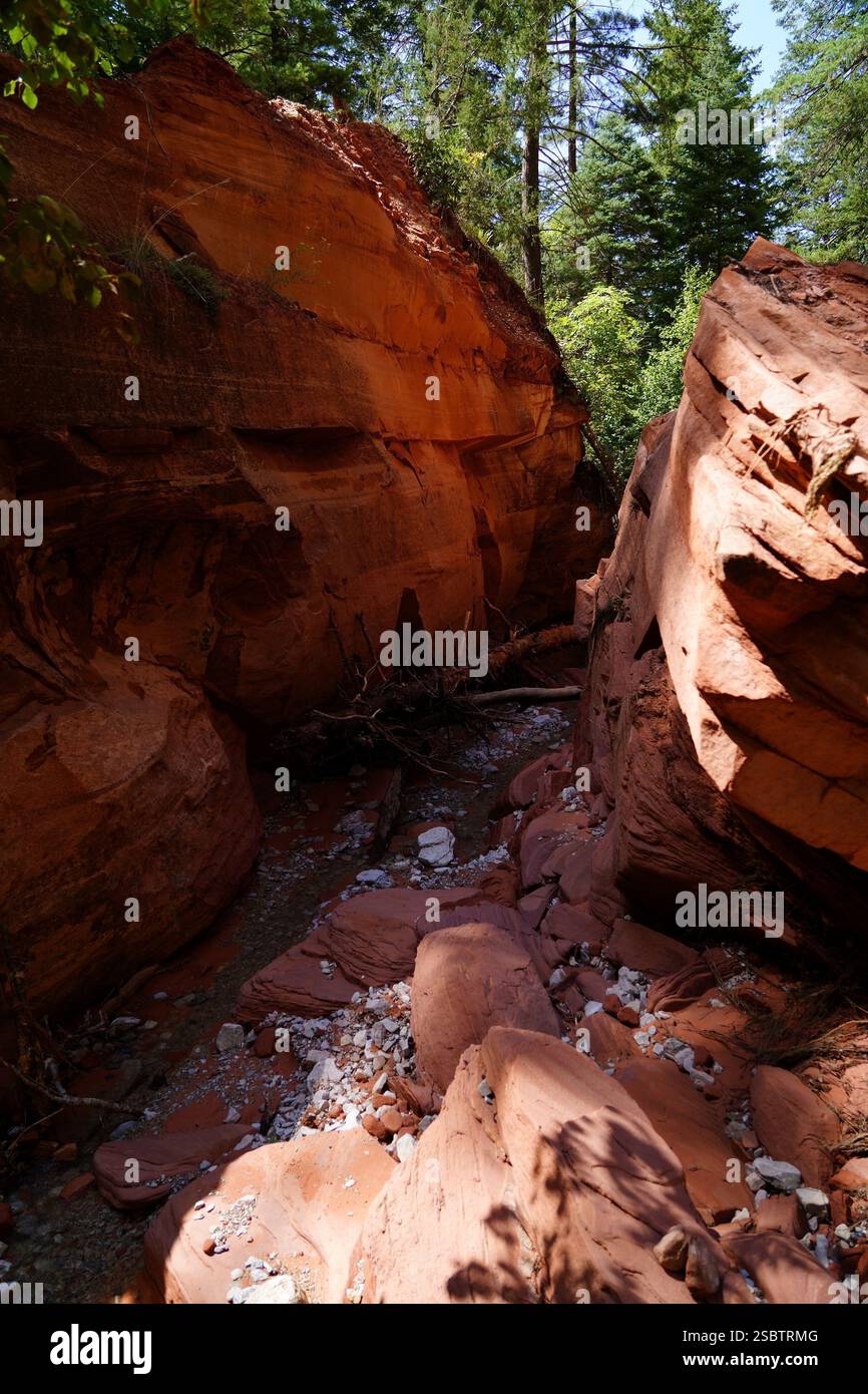 Taylor Creek Trail - Parc national de Zion Banque D'Images