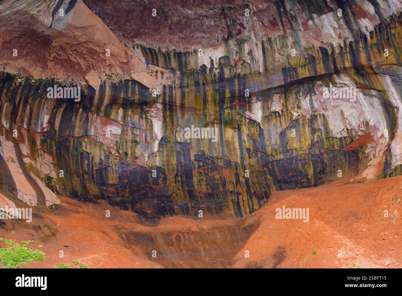 Taylor Creek Trail - Parc national de Zion Banque D'Images