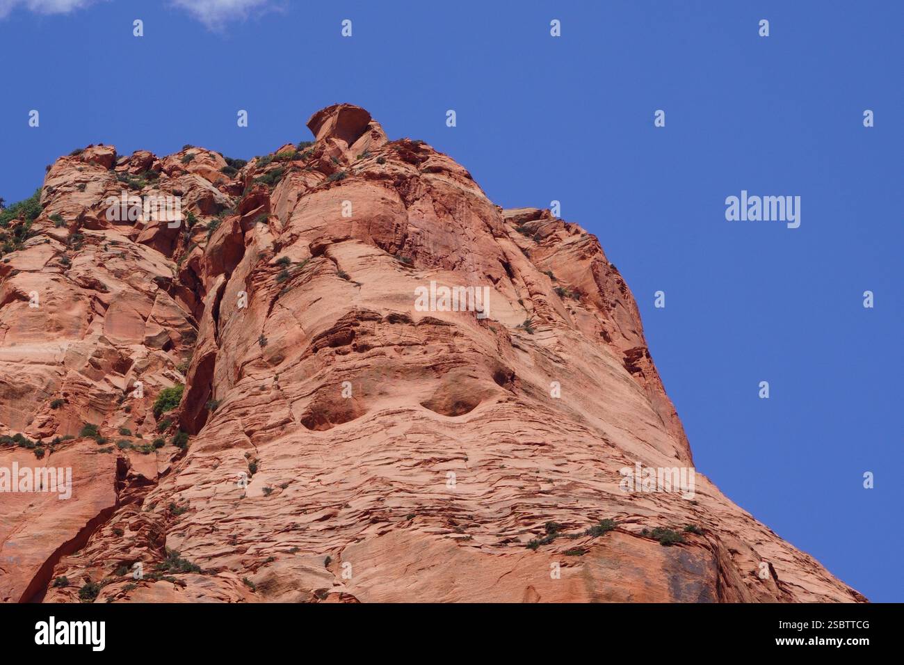 Taylor Creek Trail - Parc national de Zion Banque D'Images