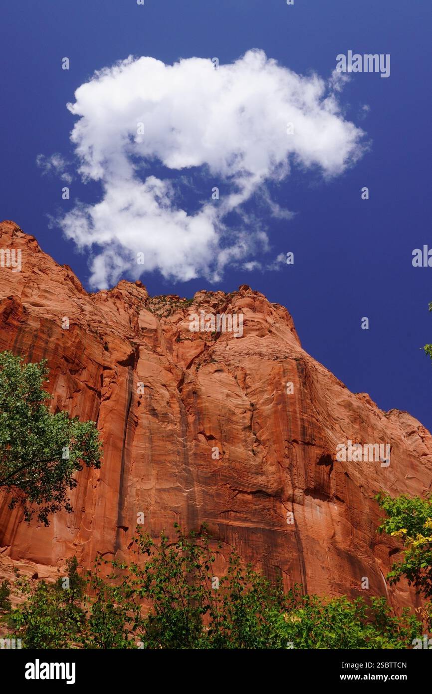 Taylor Creek Trail - Parc national de Zion Banque D'Images