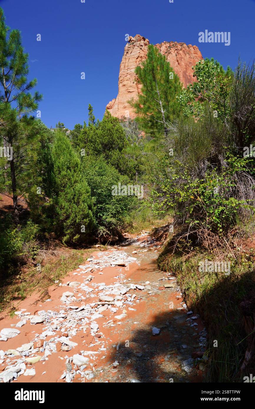 Taylor Creek Trail - Parc national de Zion Banque D'Images
