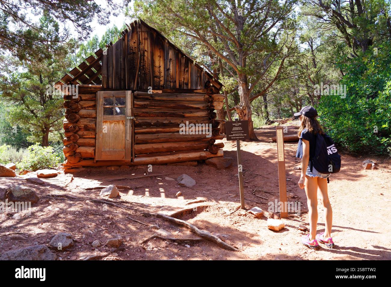 Taylor Creek Trail - Parc national de Zion Banque D'Images