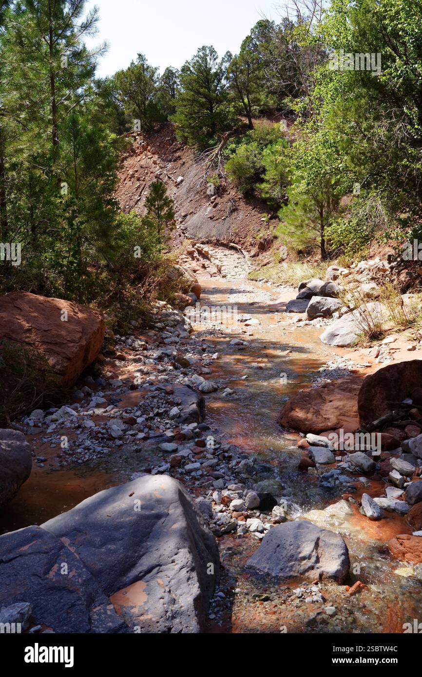 Taylor Creek Trail - Parc national de Zion Banque D'Images