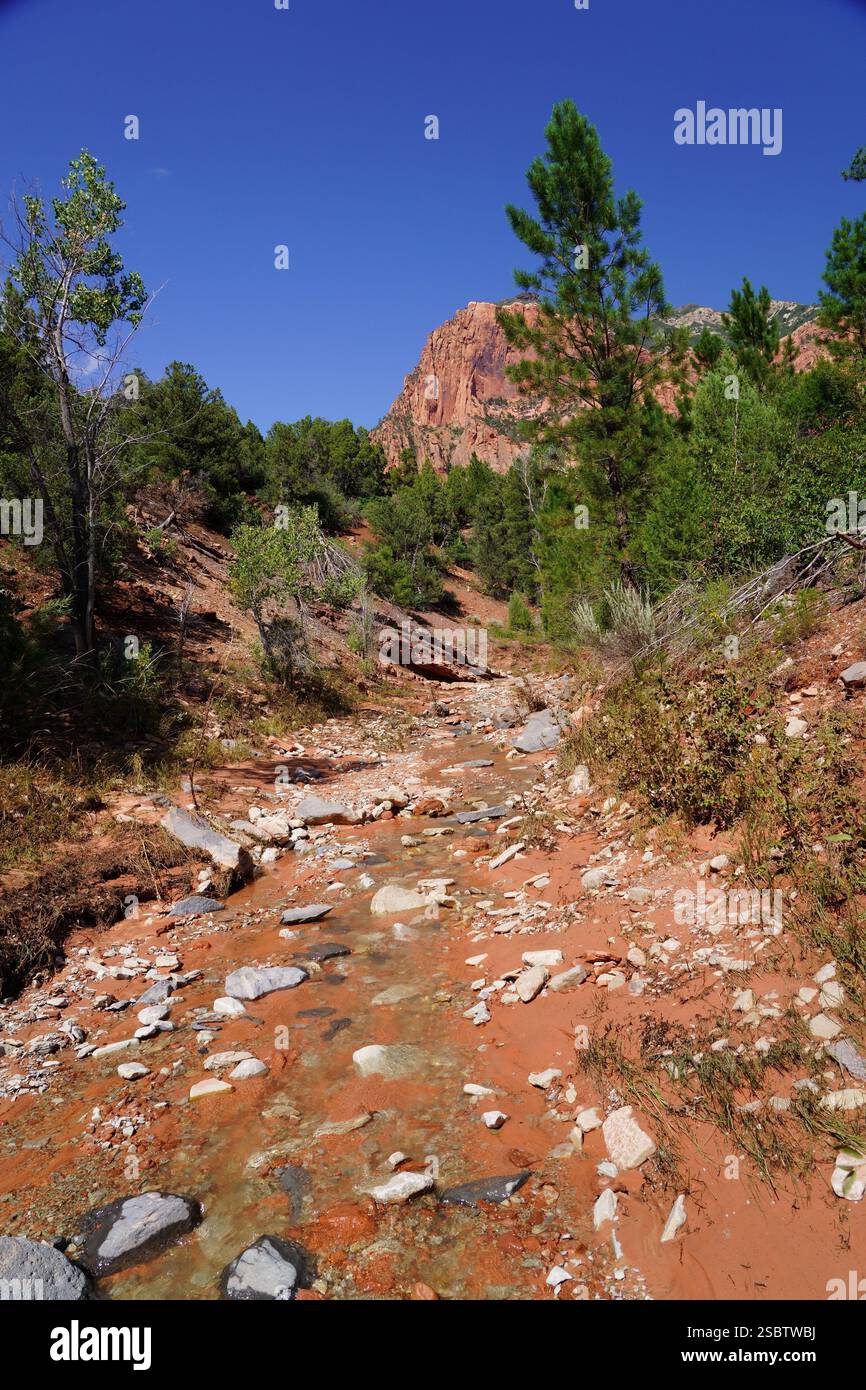 Taylor Creek Trail - Parc national de Zion Banque D'Images