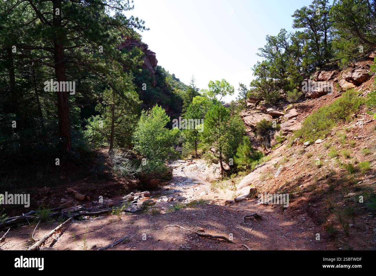 Taylor Creek Trail - Parc national de Zion Banque D'Images