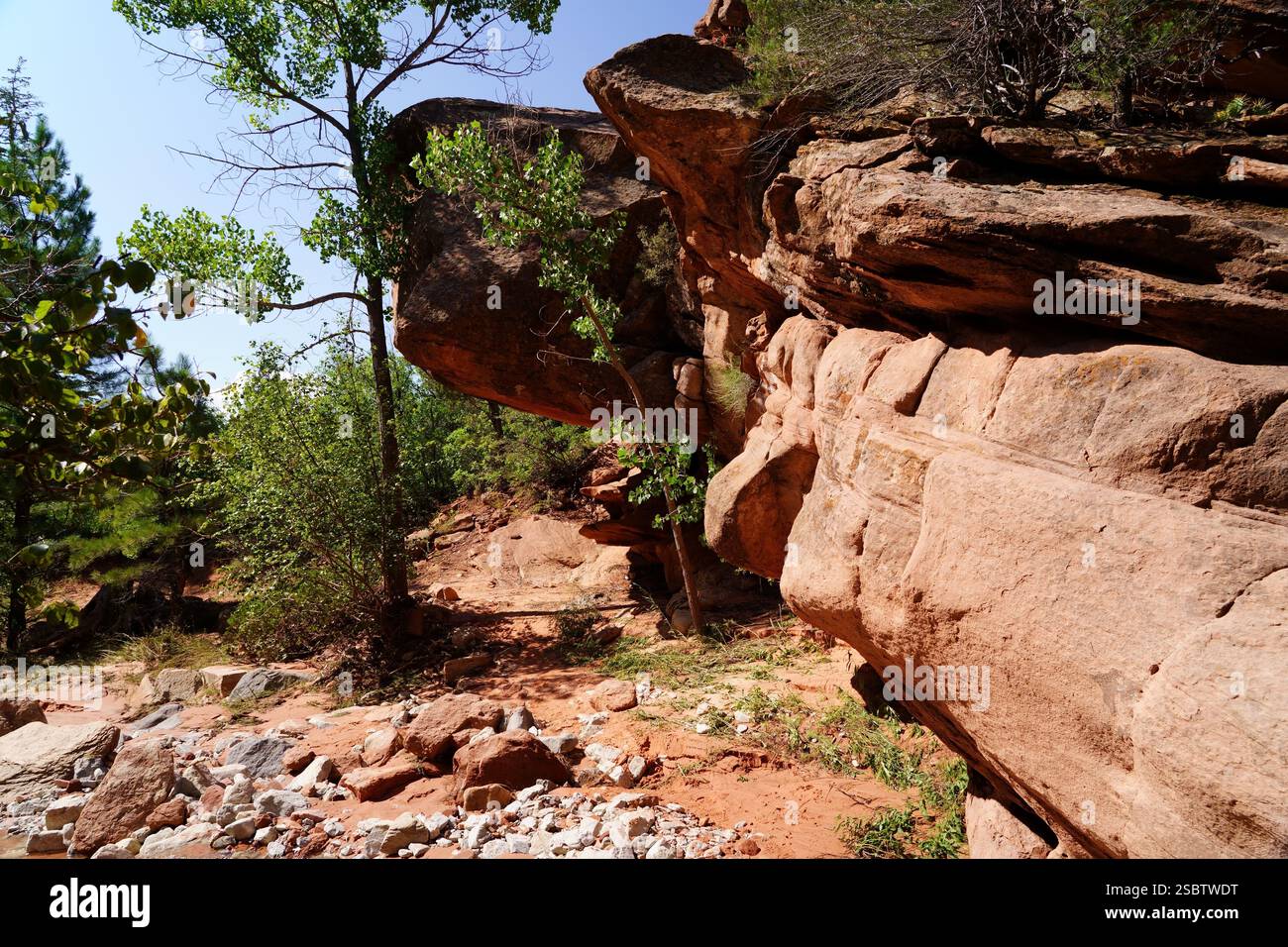 Taylor Creek Trail - Parc national de Zion Banque D'Images