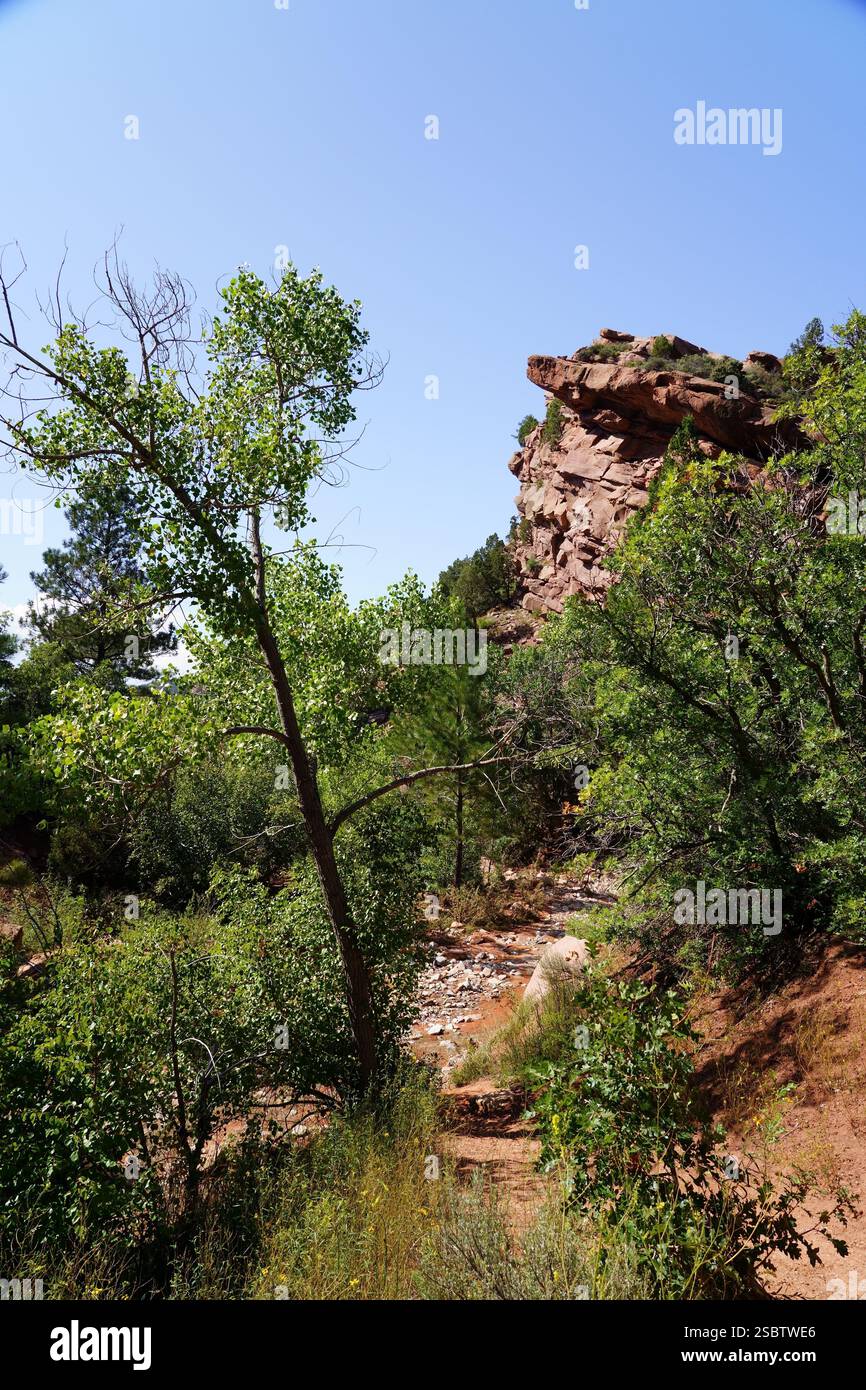 Taylor Creek Trail - Parc national de Zion Banque D'Images