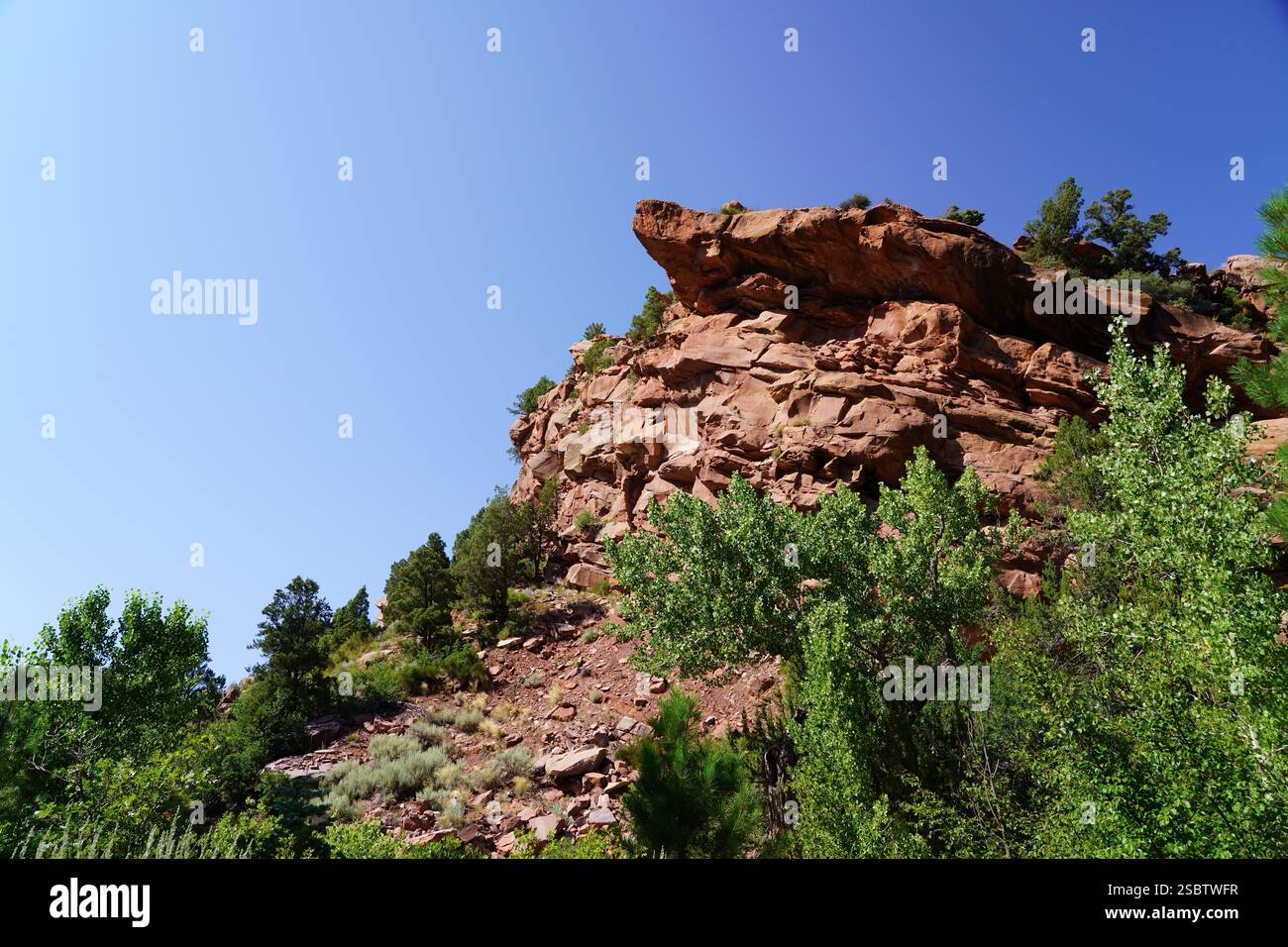 Taylor Creek Trail - Parc national de Zion Banque D'Images