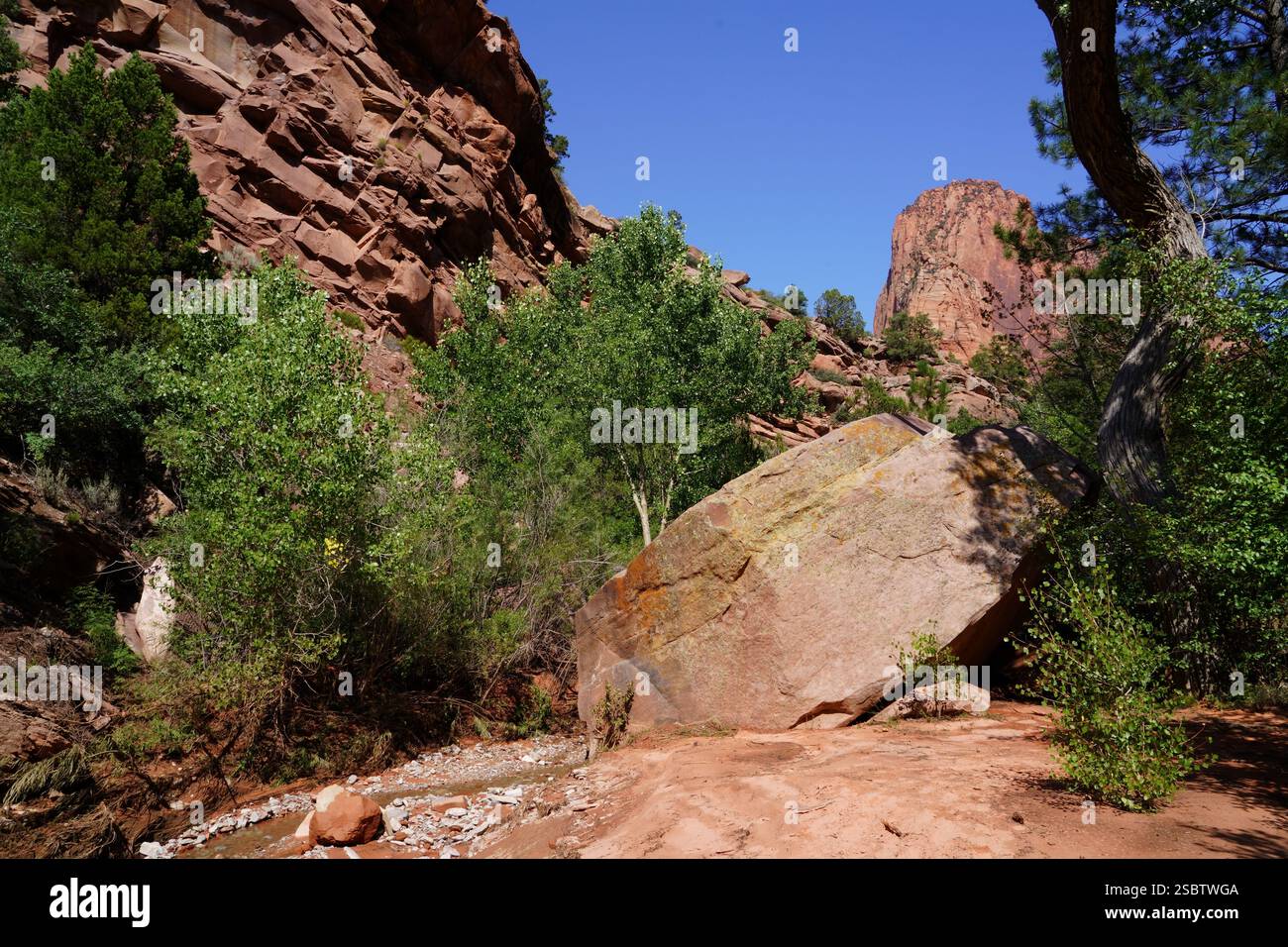 Taylor Creek Trail - Parc national de Zion Banque D'Images