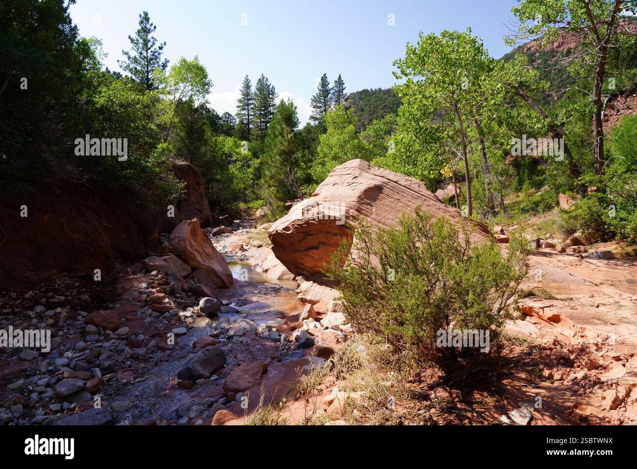 Taylor Creek Trail - Parc national de Zion Banque D'Images