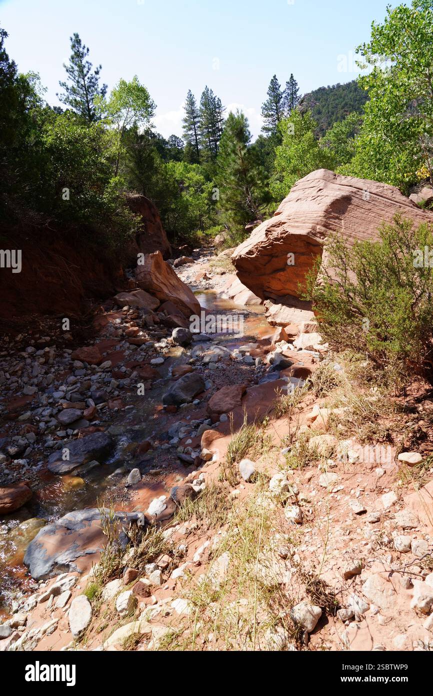 Taylor Creek Trail - Parc national de Zion Banque D'Images