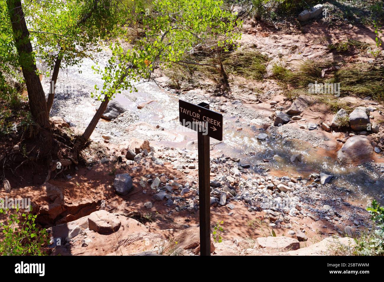 Taylor Creek Trail - Parc national de Zion Banque D'Images